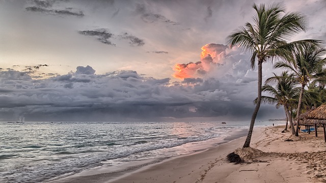 pláž dominikánské republiky.jpg